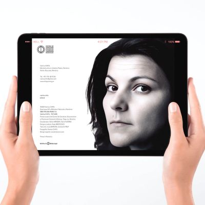 CHIFU-Vasilica-Painting-catalog-Bratcovici Radu-mockup-tablet